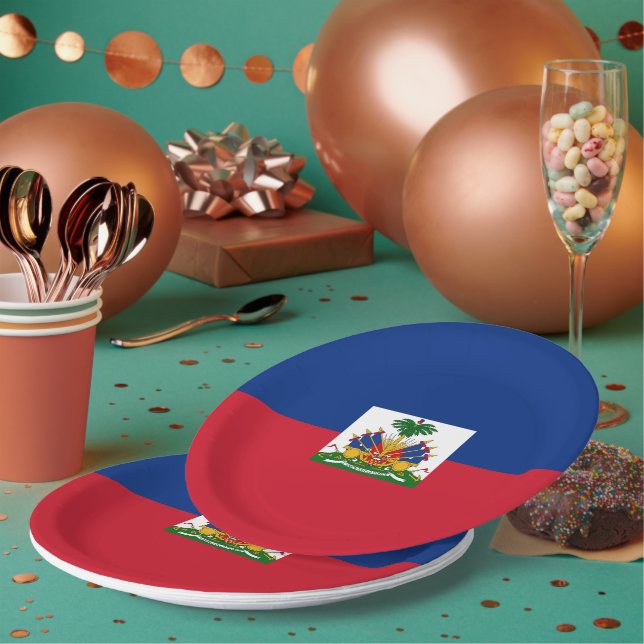 Haiti flag paper plate (Multi)