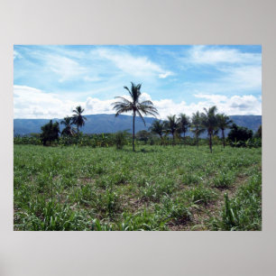 Haitian Countryside Poster