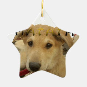 Hakuna Matata I know what you are thinking pinctur Ceramic Tree Decoration