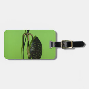 Hakuna Matata Kenya Maasai.JPG Luggage Tag