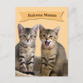 Hakuna Matata Kitten Postcard