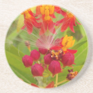 Hakuna Matata lovely green red yellow Flower Buds. Coaster
