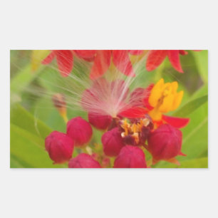 Hakuna Matata lovely green red yellow Flower Buds. Rectangular Sticker