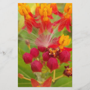Hakuna Matata lovely green red yellow Flower Buds. Stationery