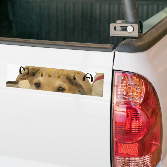 "Hakuna Matata Pup" – Worry-Free Puppy Love Bumper Sticker (On Truck)