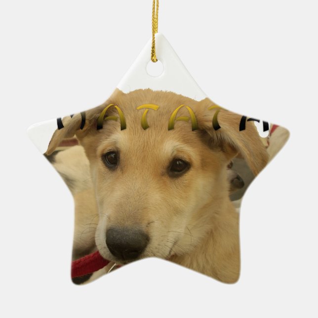 "Hakuna Matata Pup" – Worry-Free Puppy Love Ceramic Tree Decoration (Front)