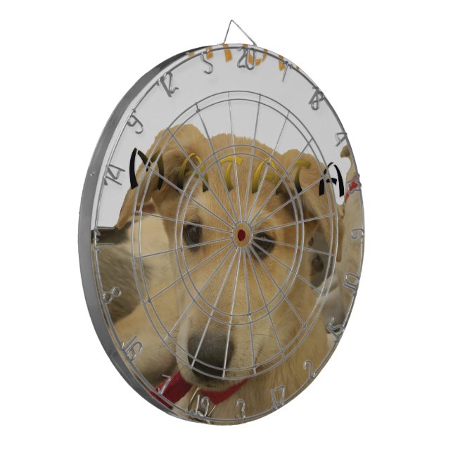 "Hakuna Matata Pup" – Worry-Free Puppy Love Dartboard (Front Left)
