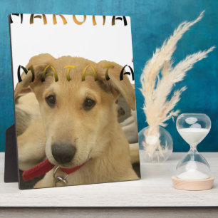 "Hakuna Matata Pup" – Worry-Free Puppy Love Plaque