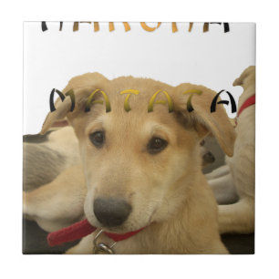 "Hakuna Matata Pup" – Worry-Free Puppy Love Tile