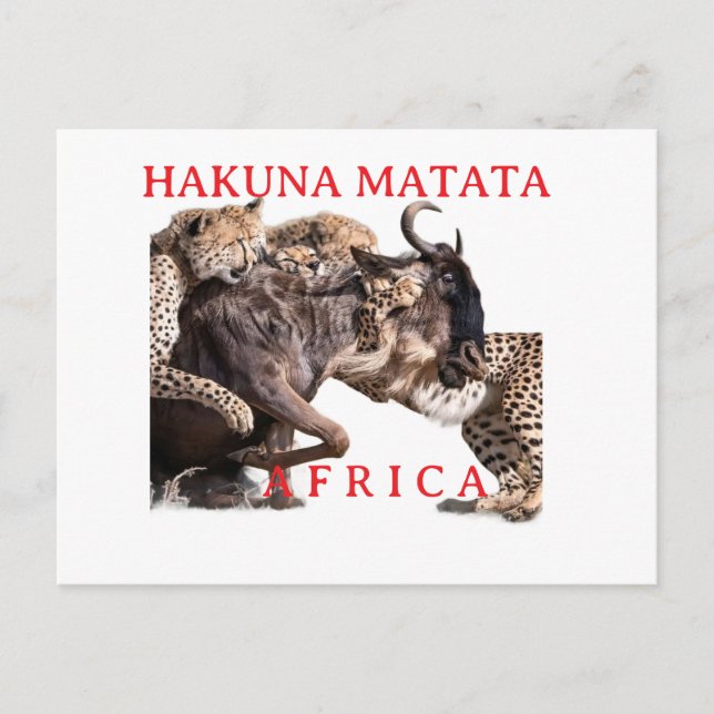 Hakuna Matata Safari Postcard | Wild Animals  (Front)