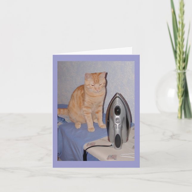 Hal the Cat Valentines Day Card (Front)