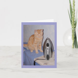 Hal the Cat Valentines Day Card