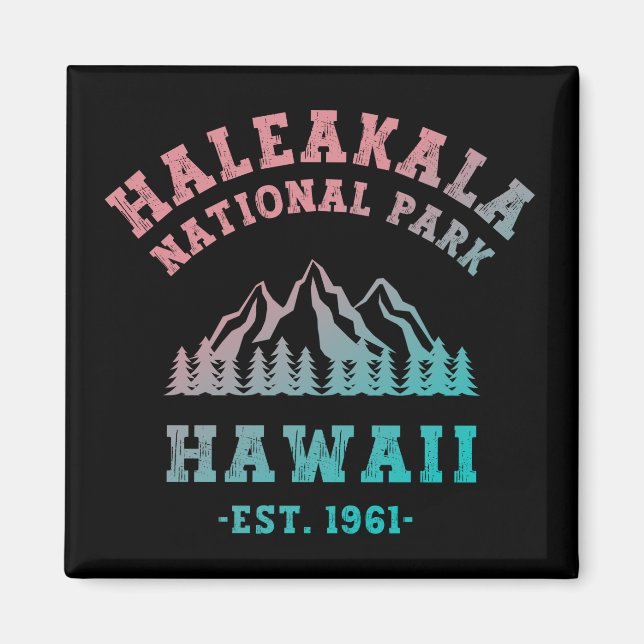 Haleakala National Park Hawaii Gradient  Magnet (Front)