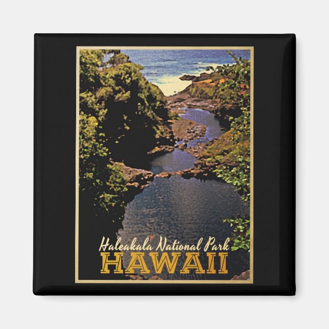 Haleakala National Park Hawaii Magnet (Front)