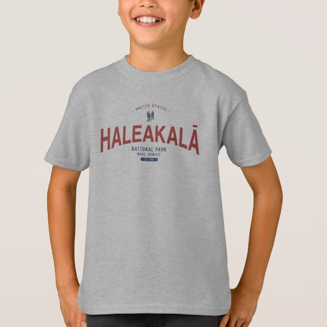Haleakala National Park Hawaii Vacation T-Shirt (Front)
