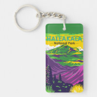 Haleakala National Park Hawaii Vintage