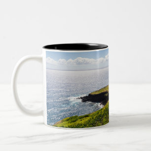 haleokane lookout and pacific ocean Two-Tone coffee mug