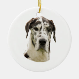 Halequin Great Dane portrait photo Ceramic Tree Decoration