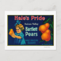 Hale's Pride Pear Crate LabelSuisun, CA