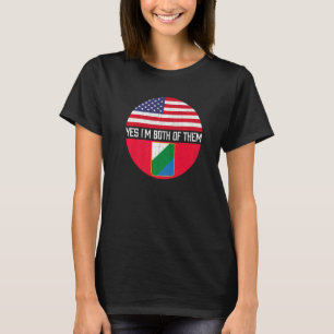 Half American Half Abruzzo Usa Flag Family Heritag T-Shirt