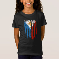 Half American Half Filipino Philippines Flag