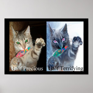 Half and Half Poster