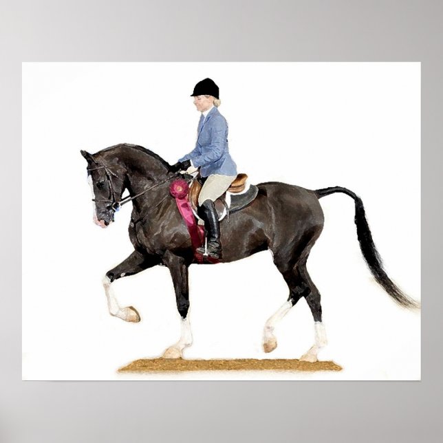 Half Arabian Hunter Pleasure Horse Poster Print (Front)