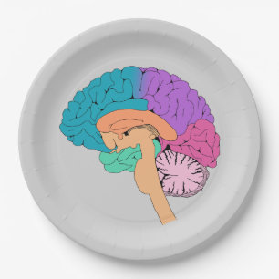 Half Brain Science Paper Plate
