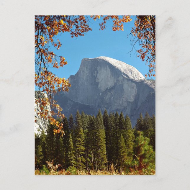 Half Dome in Autumn - Yosemite National Park Postcard (Front)