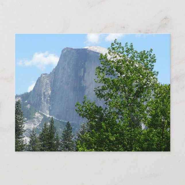 Half Dome in Summer from Yosemite National Park Postcard (Front)