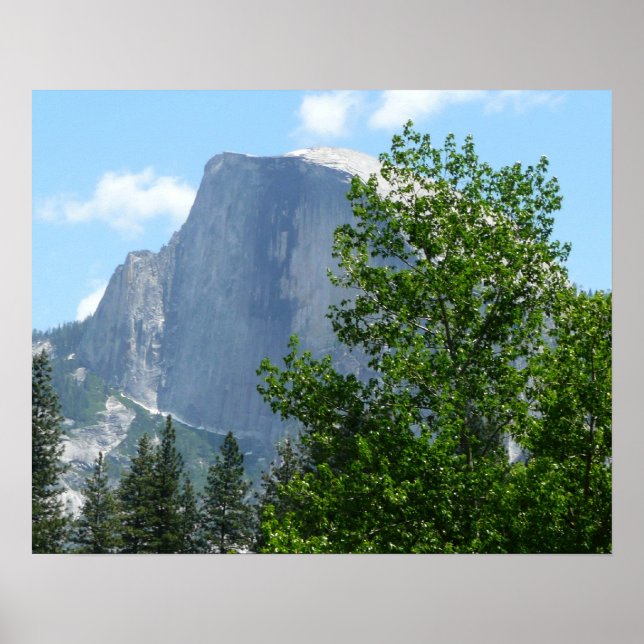 Half Dome in Summer from Yosemite National Park Poster (Front)