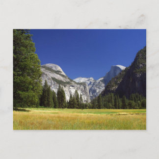 Half Dome In Yosemite National Park Postcard