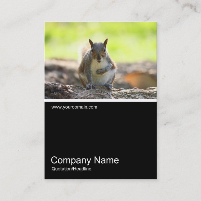 Half&Half Photo 0321 - Grey Squirrel Business Card (Front)