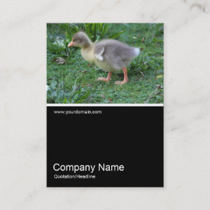 Half&Half Photo 0368 - Gosling Business Card
