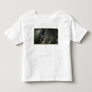 Half Hidden Falls View of Judgment Hall of Plato Toddler T-Shirt