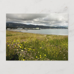 Half Moon Bay at Spring Postcard