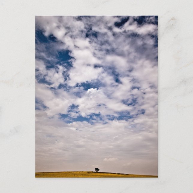 Half of blue universe postcard (Front)