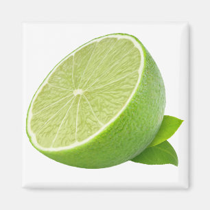 Half of lime magnet