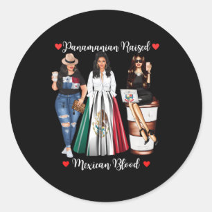Half Panaian Half Mexican Raised In Mexico Flag Pa Classic Round Sticker