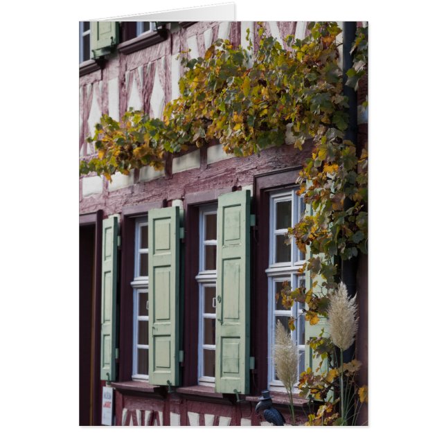 Half Timbered House Detail (Front)