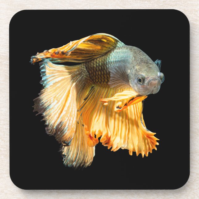 Halfmoon Betta Fish Coaster (Front)