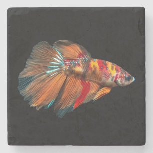 Halfmoon Betta Fish Stone Coaster