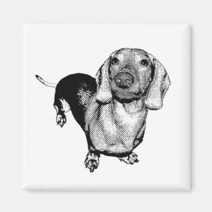 Halftone Black and White Photo Dachsund Doxie Magnet