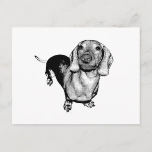 Halftone Black and White Photo Dachsund Doxie Postcard