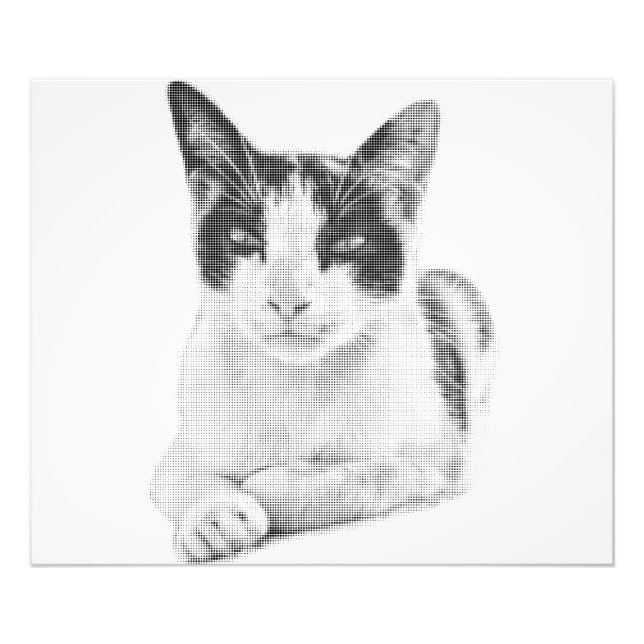 Halftone Cat Photo Print (Front)