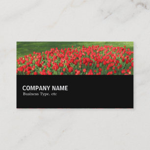 Halfway 0154 - Bed of Red Tulips 02 Business Card