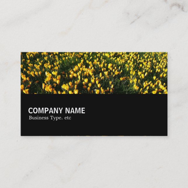 Halfway 044 - Crocuses Business Card (Front)