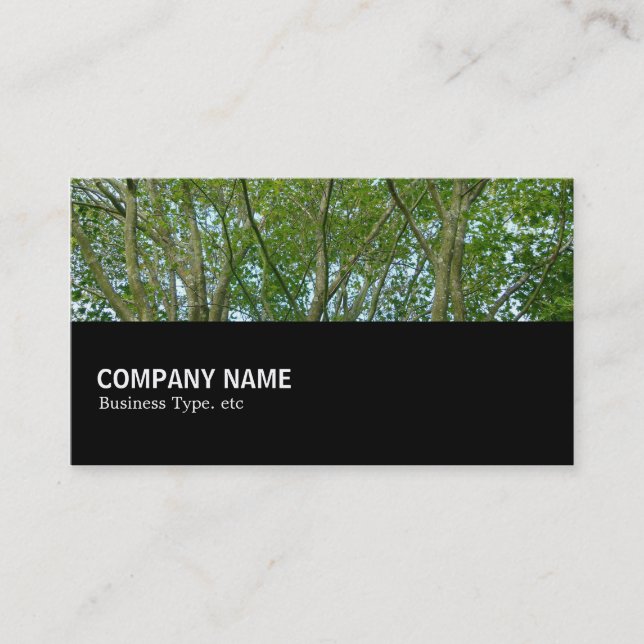 Halfway 080 - Japanese Maple Business Card (Front)