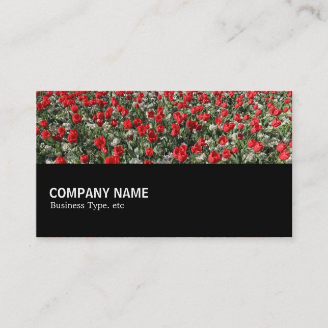 Halfway 097 - Red Tulips and Primroses Business Card (Front)