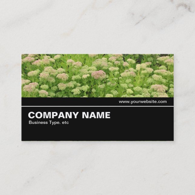 Halfway V2 015 - Sedum (Autumn Joy) Business Card (Front)